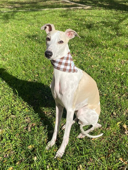 Petit Foulard Vichy Rose