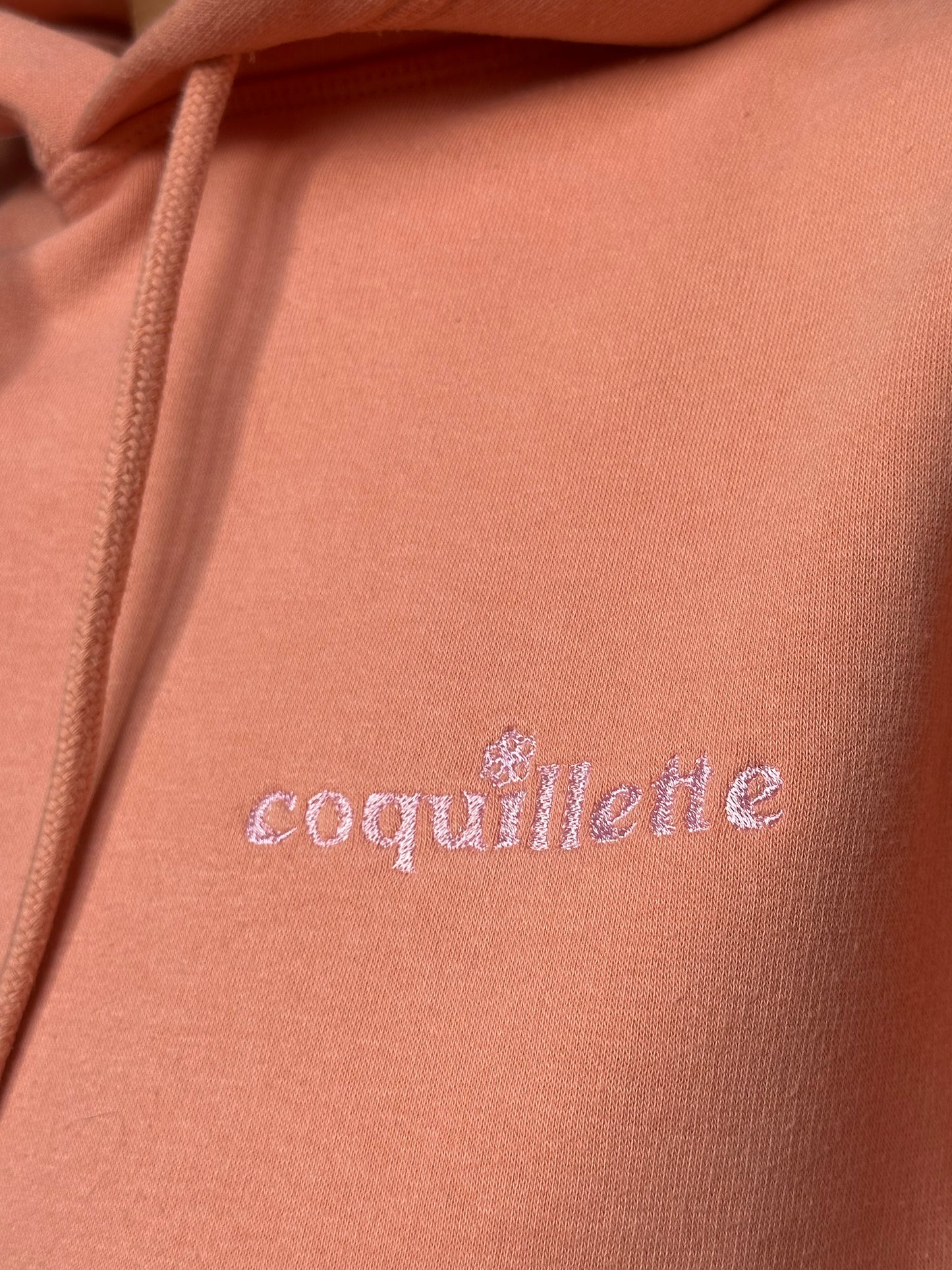 Sweat Capuche Saumon T40