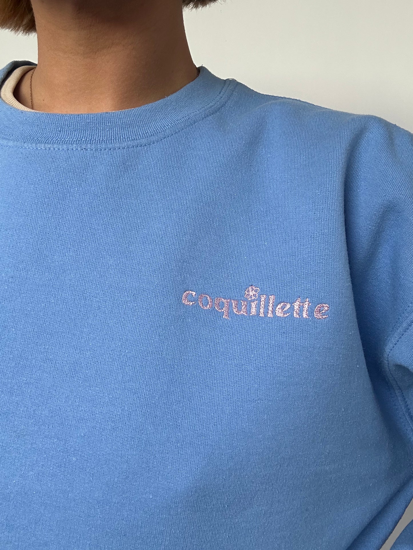 Sweat Bleu Clair T38