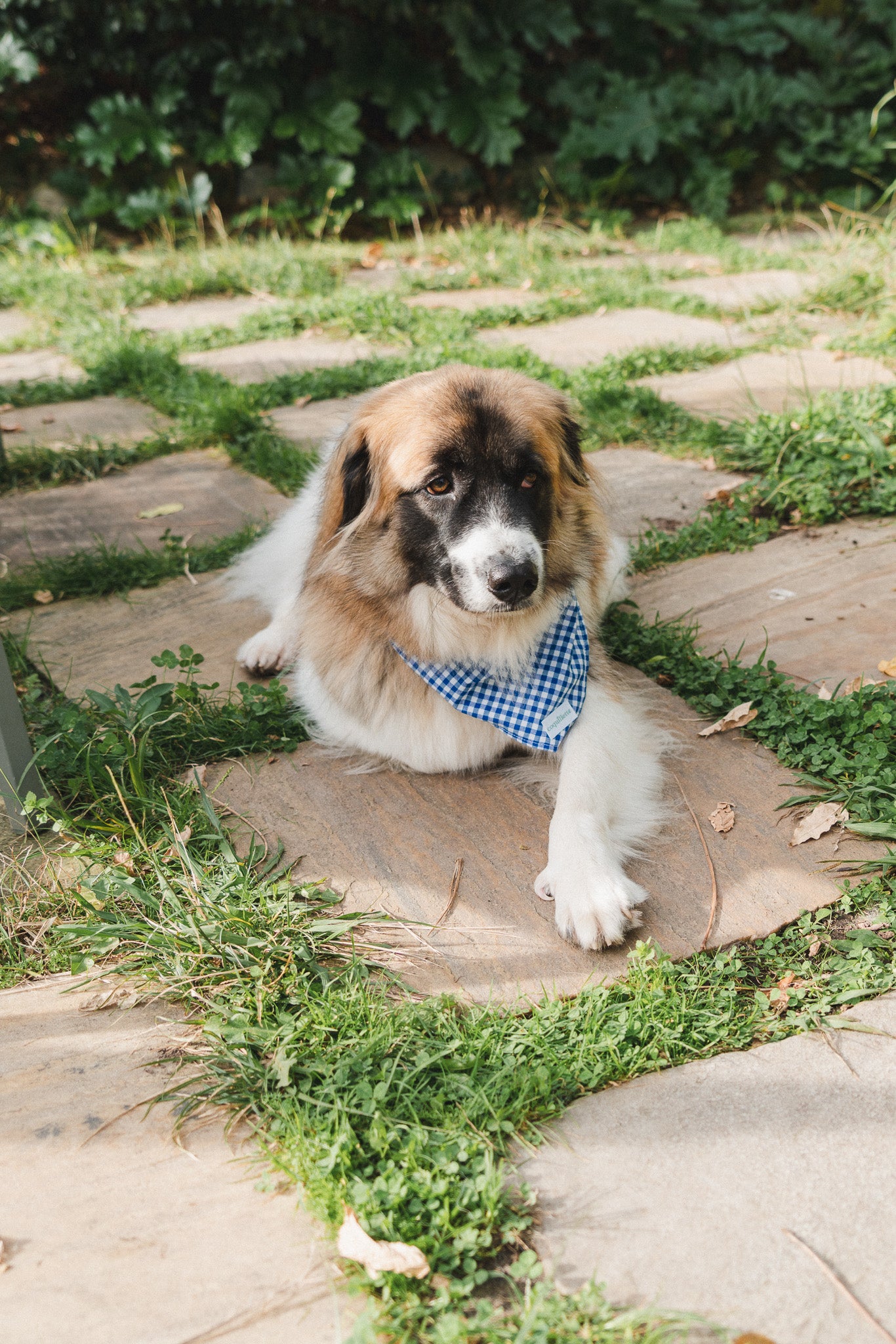 Grand Foulard Vichy Turquoise