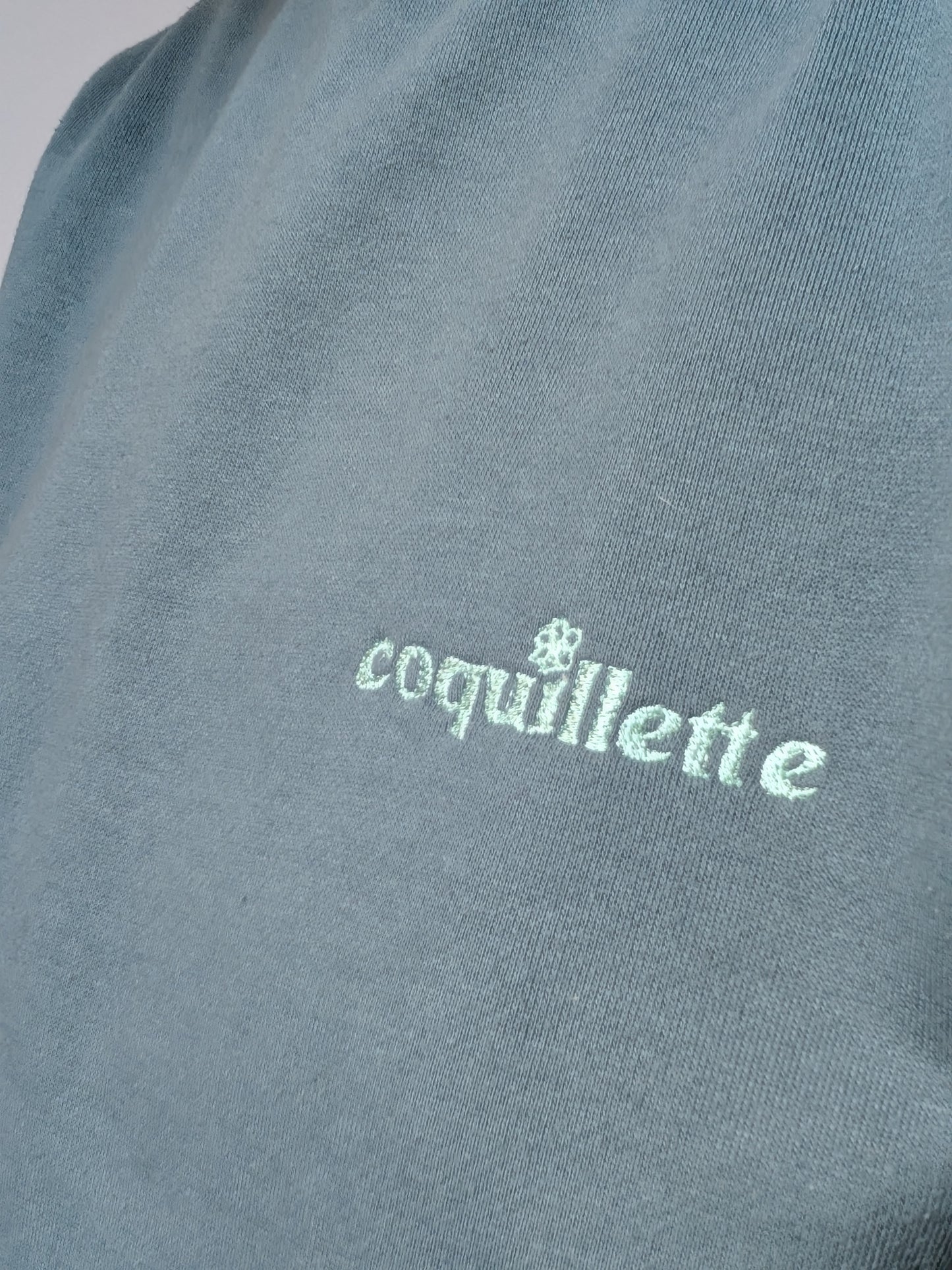 Sweat Vert D'eau T40