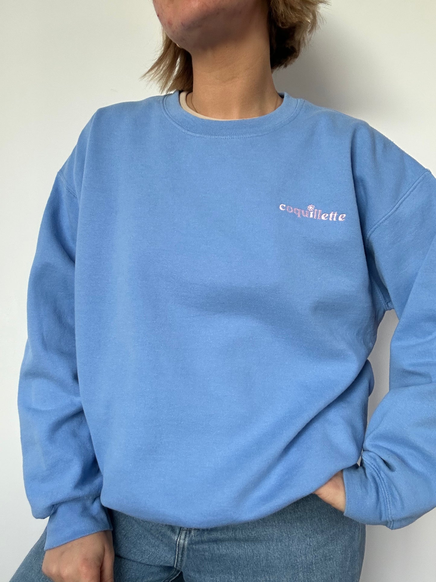 Sweat Bleu Clair T38