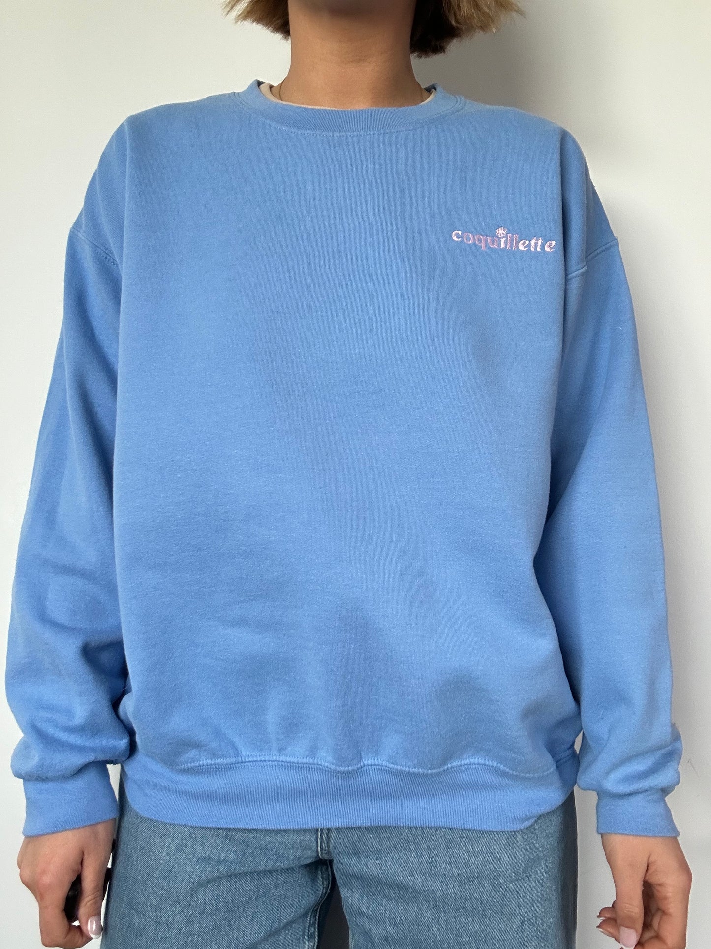 Sweat Bleu Clair T38