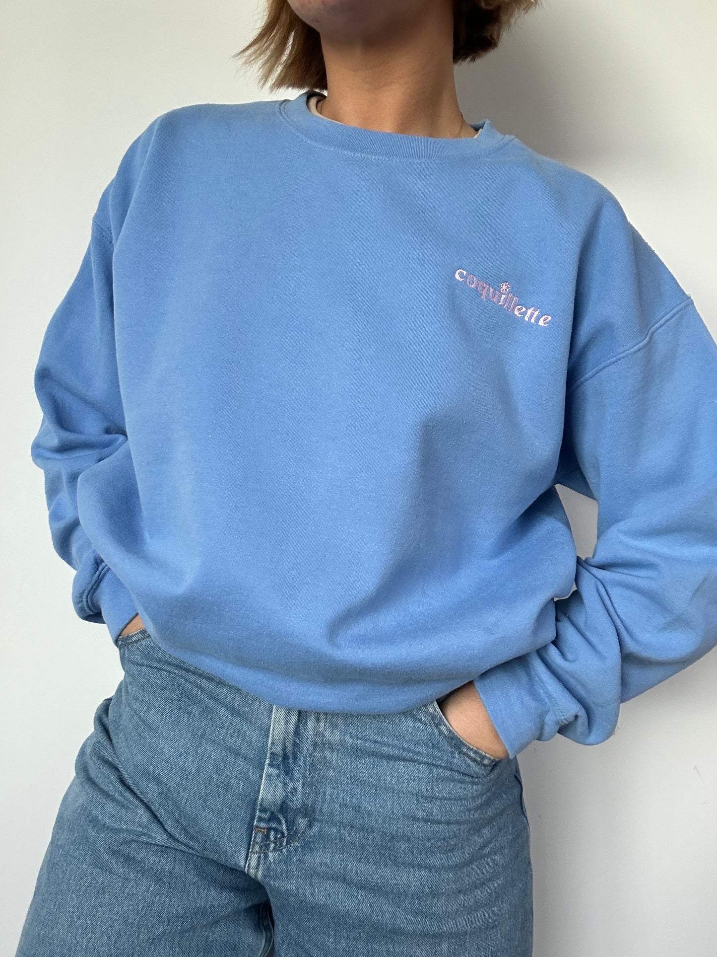 Sweat Bleu Clair T38