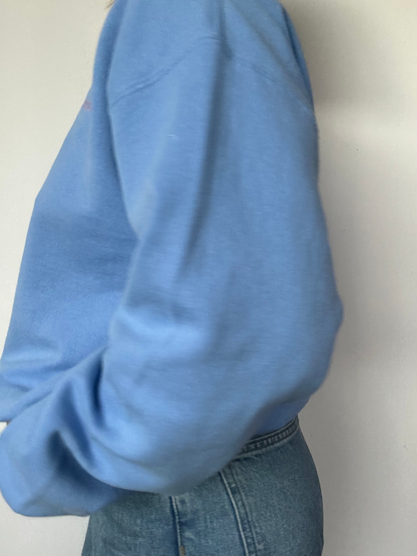 Sweat Bleu Clair T38