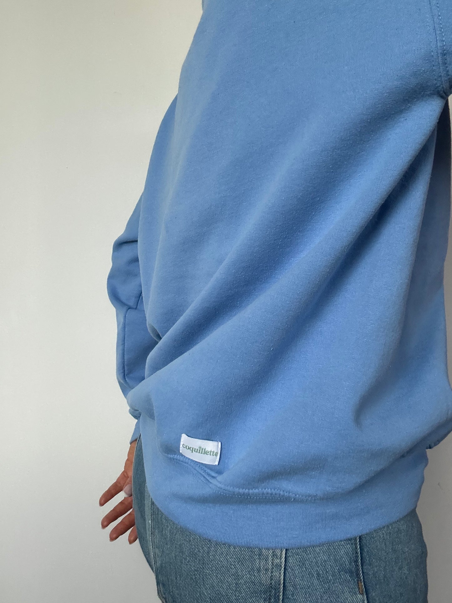 Sweat Bleu Clair T38