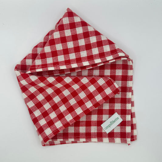 Petit Foulard Vichy Rouge